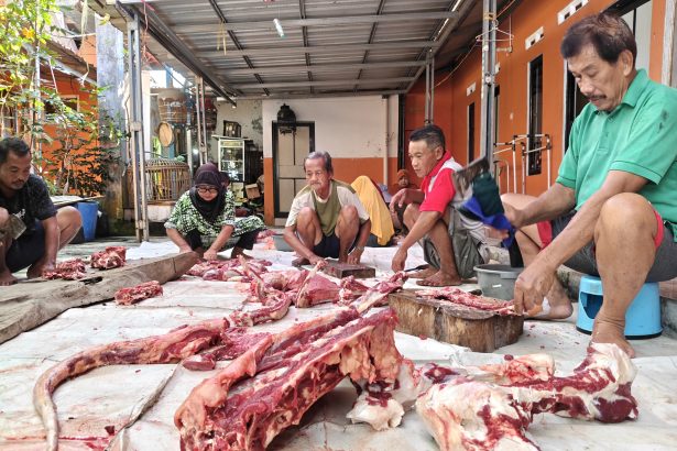 cacah hewan qurban
