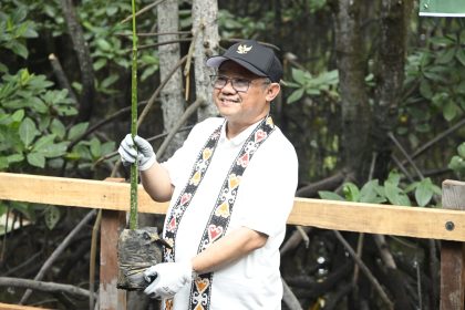 menteri abdul muti tanam mangrove di balikpapan